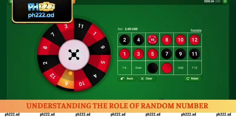 understanding-the-role-of-random-number